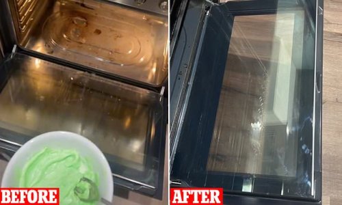 How to make your grimy oven sparkling clean in SECONDS using a two-ingredient mixture made from household staples