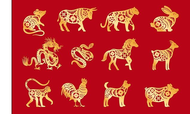 Chinese zodiac expert reveals what the year of the tiger will bring | Flipboard