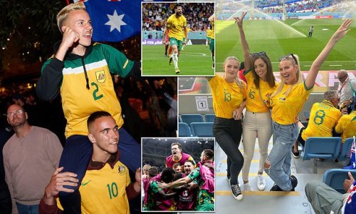 How the Socceroos' incredible underdog World Cup win shows you can NEVER write off the 'Australian fighting spirit'. And why the doubters should hang their heads in shame, writes MIKE COLMAN