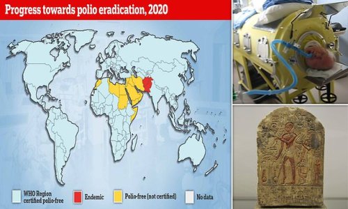 Polio dates back to 1500 BC, crippled rulers in Ancient Egypt and paralysed thousands of children for decades before being almost entirely wiped out by a vaccine that used a weakened version of virus: The disease's history laid bare