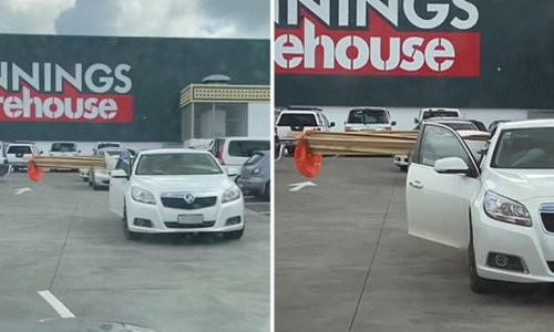Man tries to stop Bunnings customer from driving with dangerous load