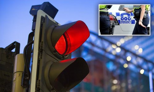 Mum who ploughed through red light seriously injuring a boy is jailed