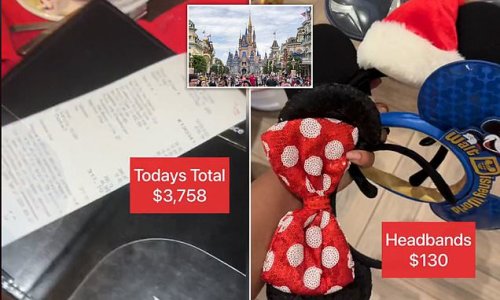 We spent $3,758 in ONE DAY at Disney World - it was 'daylight robbery'