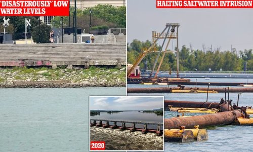 The not-so-mighty Mississippi: River's water levels near historic lows for second year in row, leaving New Orleans residents facing drinking water crisis as salty sea water is pushed into watercourse