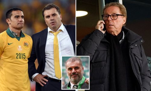 Harry Redknapp reveals how private chat with Socceroos hero Tim Cahill convinced him Ange Postecoglou is the RIGHT man to turn things around at Tottenham with Celtic boss leading the race to take north London job