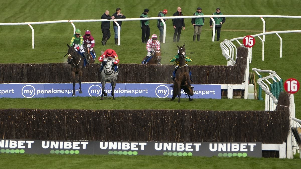 CALUM McCLURKIN: Week of shock results is precisely what this floundering Cheltenham Festival required