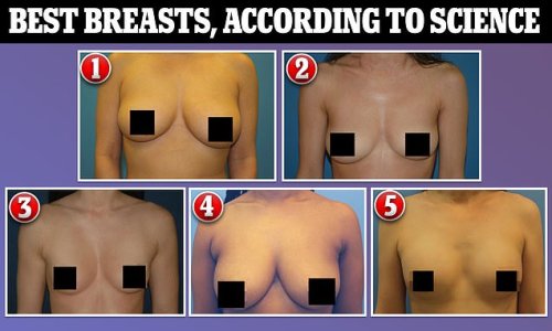 These are the five BEST looking pairs of breasts according to men AND women (and size is NOT the be-all, end-all)