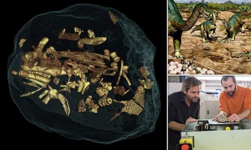 Early dinosaurs were SOCIABLE and moved in herds 193 million years ago