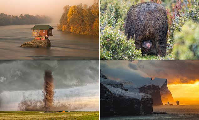 The stunning winning images from the 2020 Travel Photographer of the Year contest show life on earth at its most beautiful, bizarre... and brutal