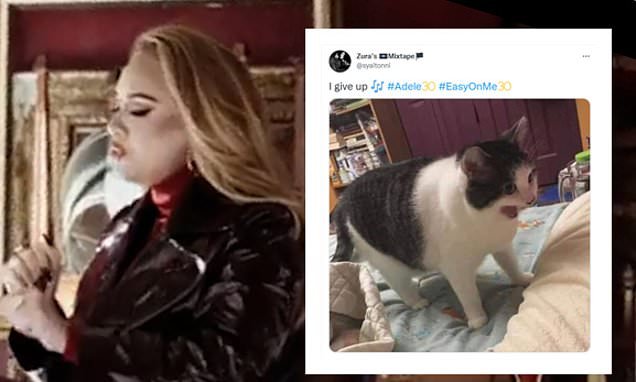 'I am shaking, crying and throwing up!' Adele fans flood social media with hilarious memes as singer releases Easy On Me