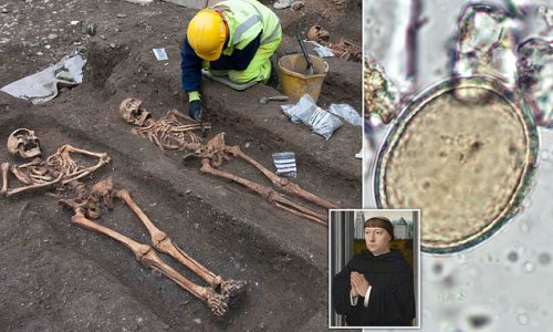 Friar muck! Medieval friars were twice as likely to be riddled with intestinal parasites as townspeople because they fertilised their gardens with human FAECES, study claims