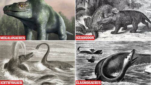 Forget what you saw in Jurassic Park! Hilarious images reveal what scientists thought dinosaurs...