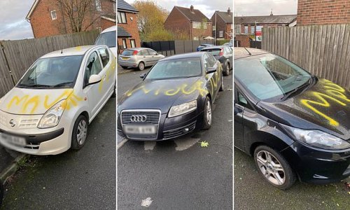 Backlash against 'pavement parkers': Car vandals go on overnight wrecking spree by breaking windows and spray-painting 'MOVE' on vehicles blocking path of 'prams and wheelchairs'