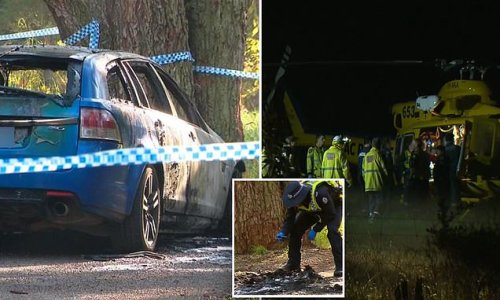 Mum-of-three is left with horrific injuries after allegedly being set on fire in a car before witnesses extinguished the flames - as her husband is taken into custody