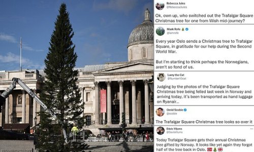 'Has that been transported as hand luggage on Ryanair?' Trafalgar Square's Christmas tree is mocked by Londoners as it arrives from Norway ahead of lighting ceremony