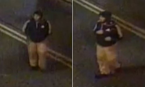 Urgent Manhunt For Sex Attacker Who Stalked Woman Before Assaulting Her As Cops Release Cctv