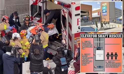 Security guard and boy, 16, fall THREE FLOORS down elevator shaft in Target: Man, 29, was fighting with shoplifting teen before falling through doors and getting trapped under elevator cab