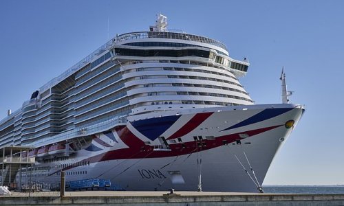 Full steam ahead as British cruise ships are allowed to stage weddings under 'Brexit dividend' plans