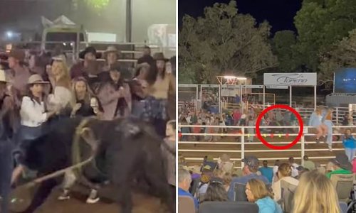 Terrifying Moment Rampaging Bull Is Let Loose At A Rodeo And Charges ...