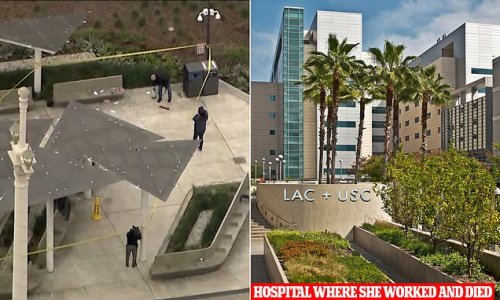 LA nurse dies three days after she was attacked by homeless man