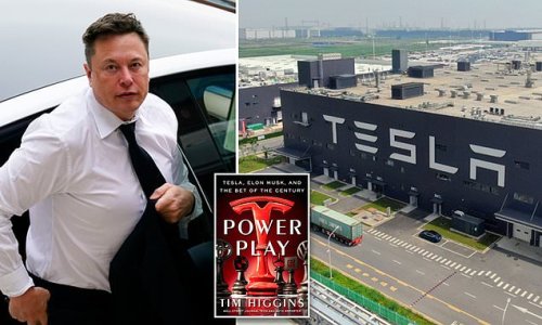 Elon Musk's explosive temper toward overworked Tesla staff is revealed