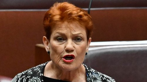 Pauline Hanson makes explosive claims about the reasons behind Monday night's terror attack - as she...