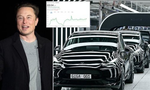 Tesla's profits DOUBLE in a year to $3.29B as it predicts 50% sales growth over next few years - but loses 37% in stock over fears Elon Musk would sell shares to fund $44B Twitter takeover