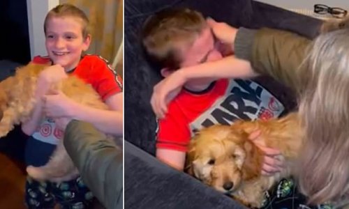 Puppy love! Boy, 13, with a life-limiting condition breaks down in tears as he meets abandoned disabled cockapoo