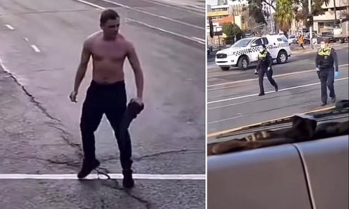 Terrifying moment a shirtless troublemaker stops traffic and screams 'shoot me ya dogs!' at cops