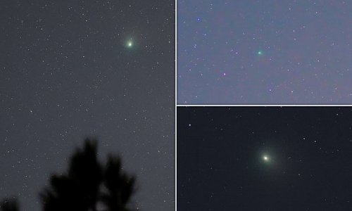 Did YOU see the green comet that whizzed past Earth last night? Budding astronomers share fascinating snaps of incredibly rare space rock last seen by the Neanderthals 50,000 years ago