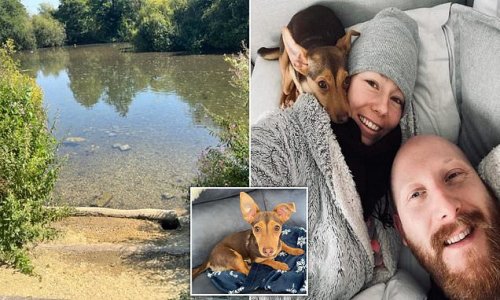 Devastated couple demand action as their Jack Russell foams at mouth after drinking from algae-hit lake - the second dog to die there this year