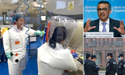 IAN BIRRELL on the Batwoman dossier