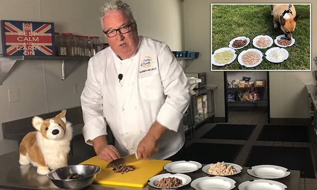 The Queen's former chef reveals Her Majesty's corgis used to have their own 'a la carte menu' - and says he whipped up rabbit, liver and beef for the dogs