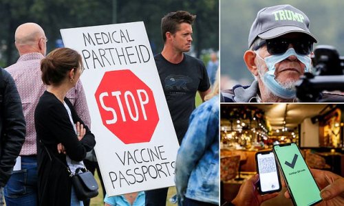 Dutch protestors demonstrate against Covid passports