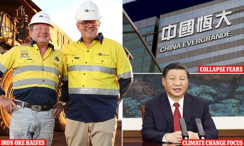 China biggest worry as prices for Australia's biggest export halve