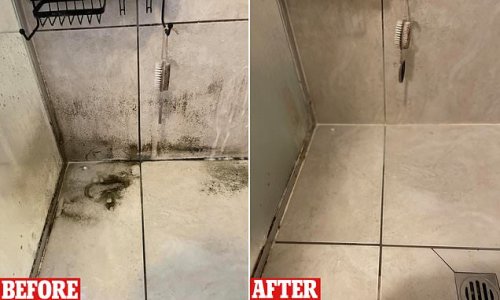 how-to-clean-a-filthy-shower-without-scrubbing-mum-reveals-3-50-buy