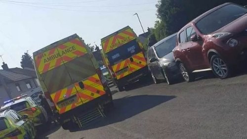 Mother of two toddlers attacked by the family American bulldog praises her neighbours for saving children's lives