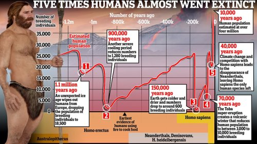 The 5 times humans almost went EXTINCT - as scientists reveal the date our species could finally be...