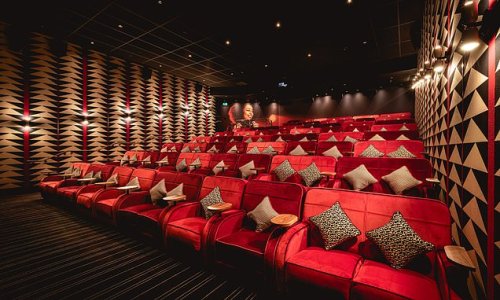 Everyman boss confident Britons WILL still flock to the cinema during the cost-of-living crisis as group narrows its losses and sees admissions rise