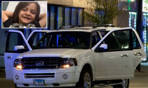 Boy, 3, is shot dead in front of his three siblings in the back seat of his mom’s SUV in horrifying Chicago road rage incident amid city’s soaring crime: $7,000 reward for information is offered as cops hunt red car