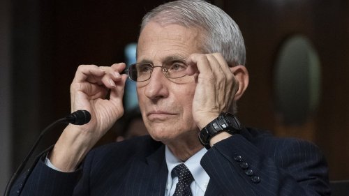 Jaw-dropping spike in Fauci's fortune since COVID as fury grows over his attempts to suppress lab leak theory