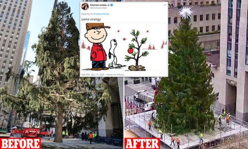 That's better! Rockefeller Christmas tree's spruce up - complete with branch extensions - is revealed after its initial 'scraggly' appearance was compared to Charlie Brown's tree
