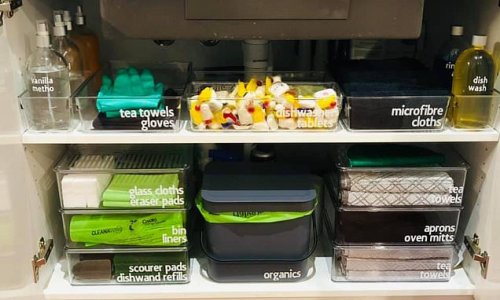 Mum is praised for her genius cleaning cupboard organisation