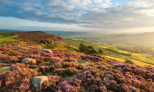 IAN COGHILL blasts back at eco-activists led by TV's Chris Packham