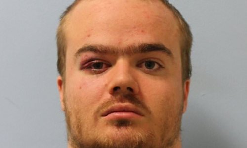 PETER HITCHENS: Was the Tate Modern attacker driven mad by drugs?