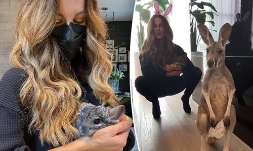 Hollywood star Kate Beckinsale comes under fire for kangaroos