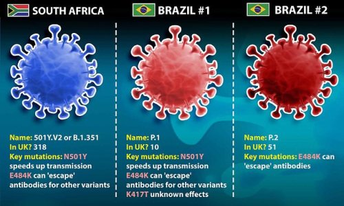 Oxford and Pfizer's Covid vaccines are more effective against Brazilian variant than initially feared, study finds