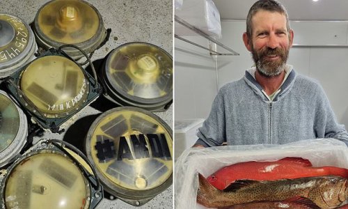 Why these strange devices that look like landmines are suddenly washing up on Australian beaches every week