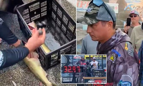 Caught hook, line and sinker! Moment LEAD WEIGHTS are found in professional fishing duo's catch and they are stripped of tournament title and $5,000 prize - as furious crowd berates them