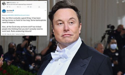 World’s richest man Elon Musk says recession would be a ‘GOOD’ thing because it’ll hurt lazy work-from-home crowd and ‘foolish’ business owners he says deserve to go bankrupt